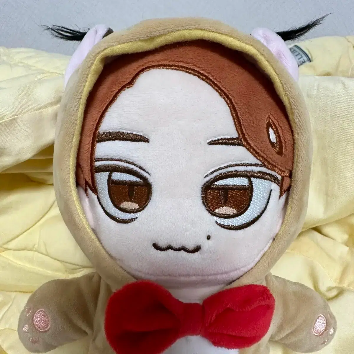 NCT쟈니 쟌냥이 인형 25cm | 브랜드 중고거래 플랫폼, 번개장터